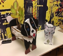 hund und katz blumenkasten